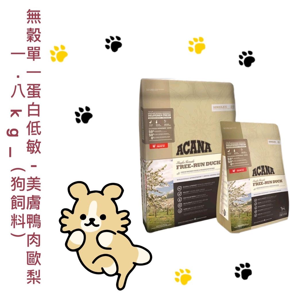 貓砂