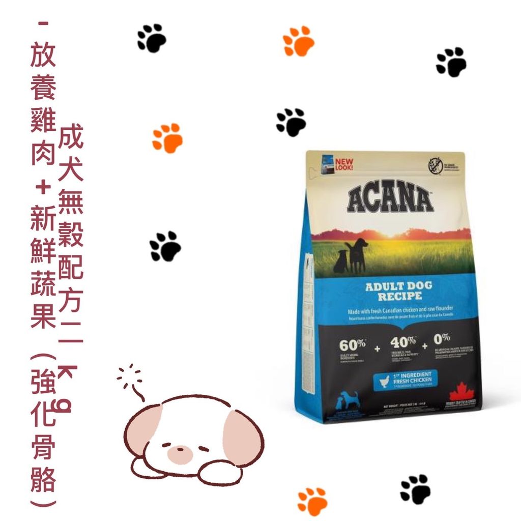 貓砂
