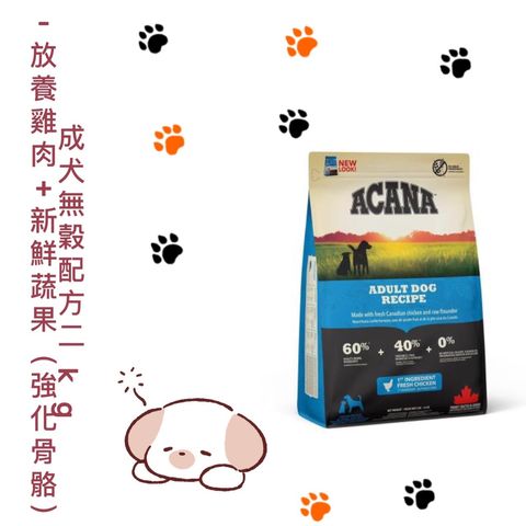 貓砂