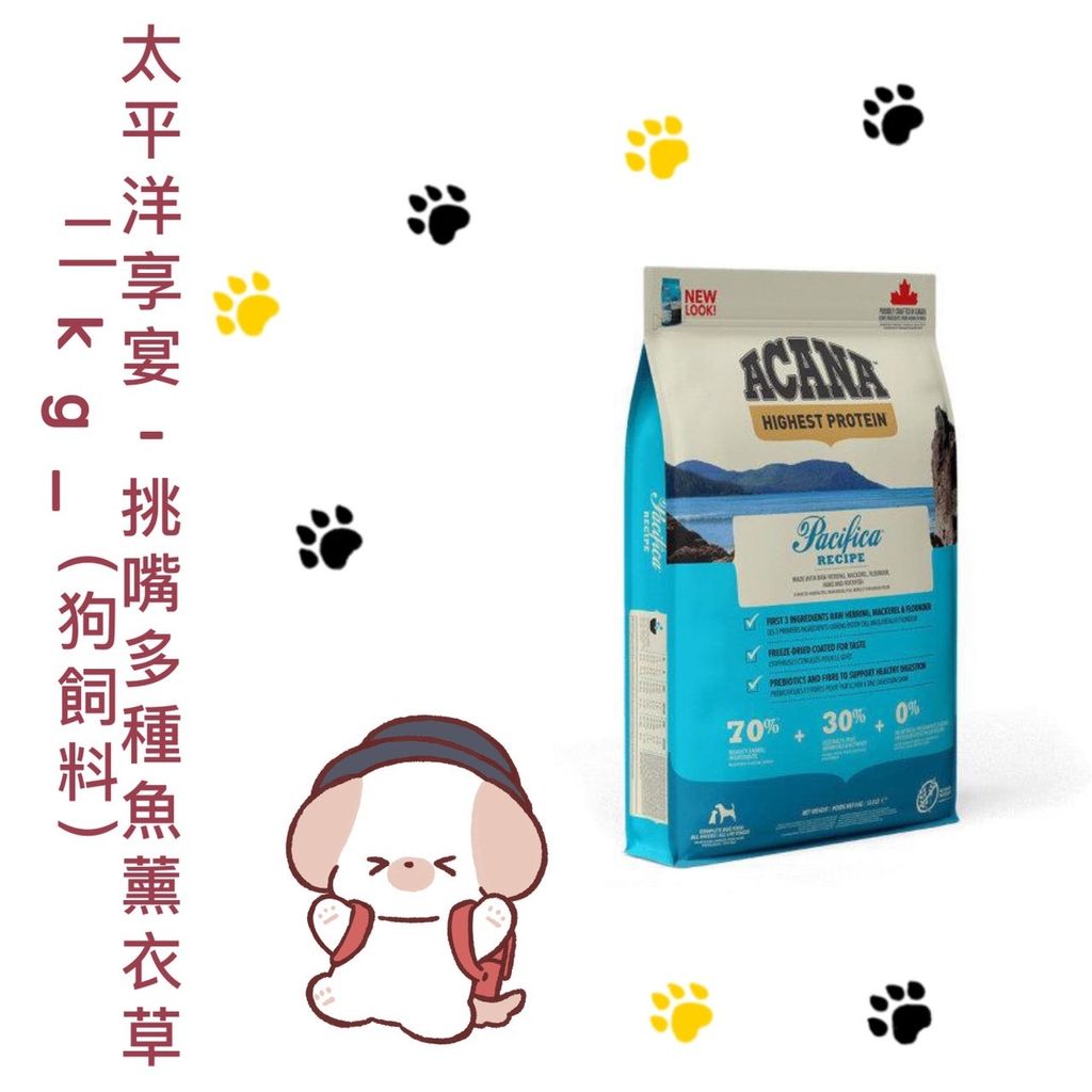 貓砂