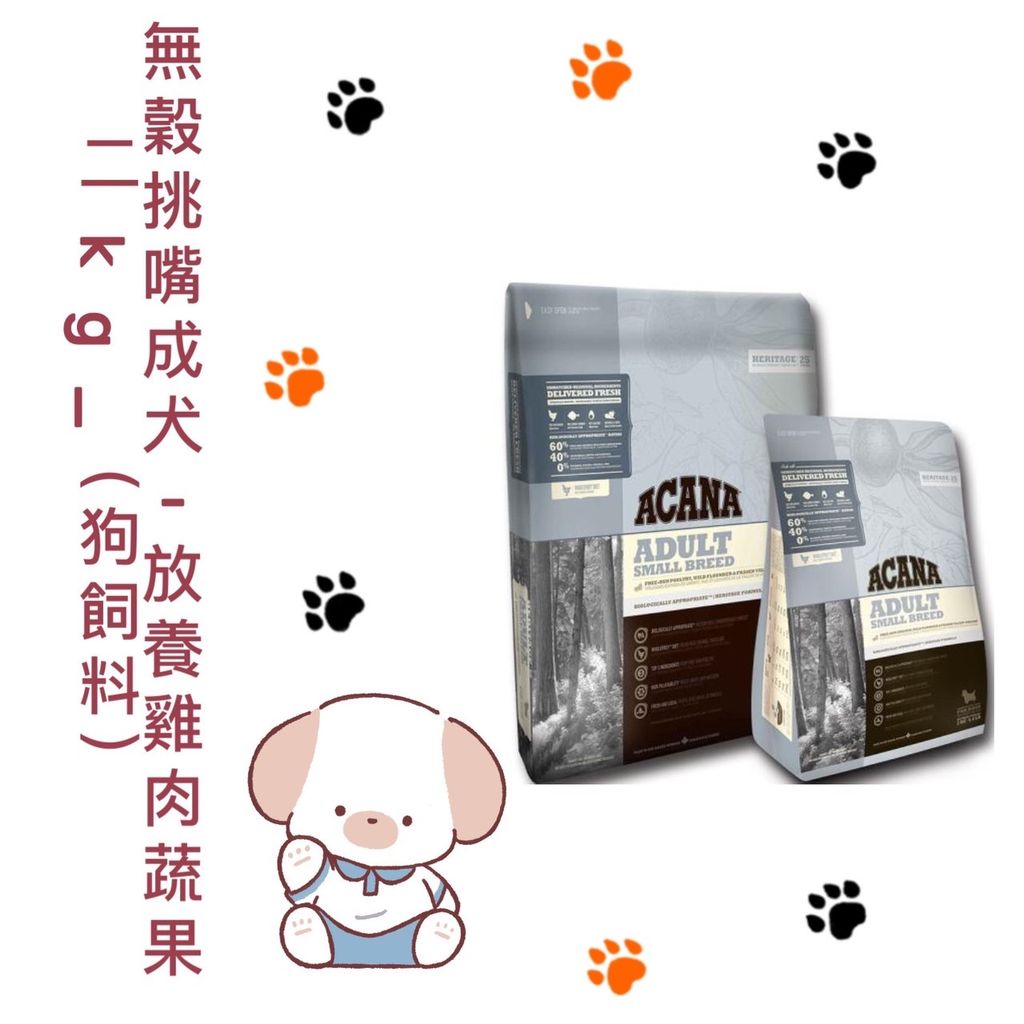 貓砂