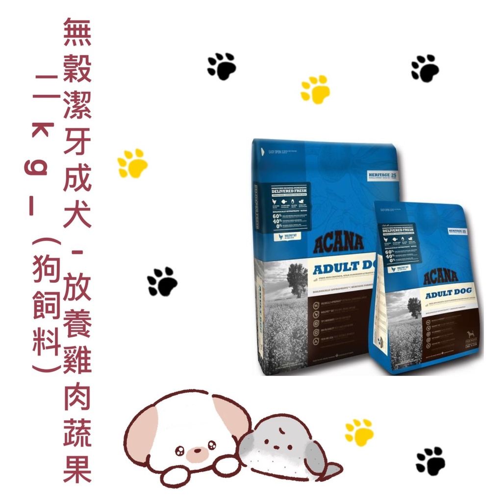 貓砂