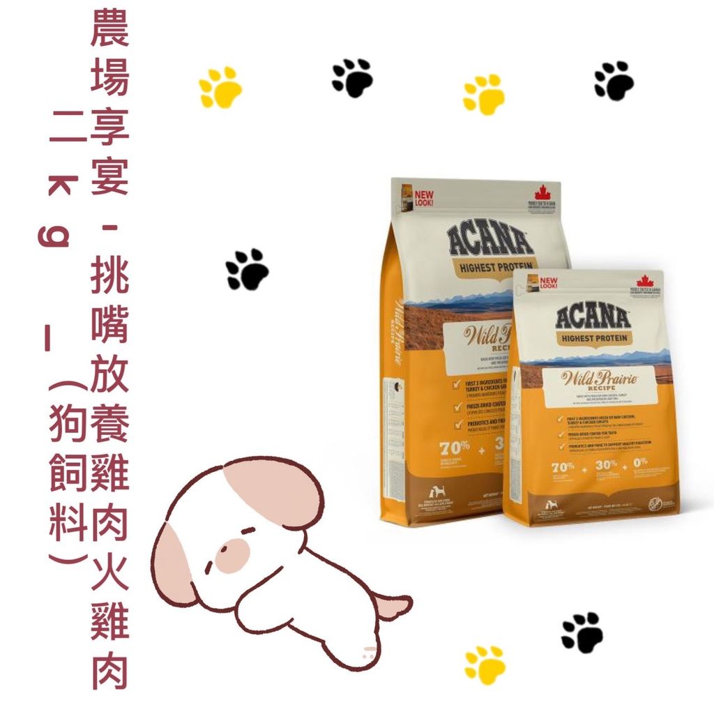 貓砂