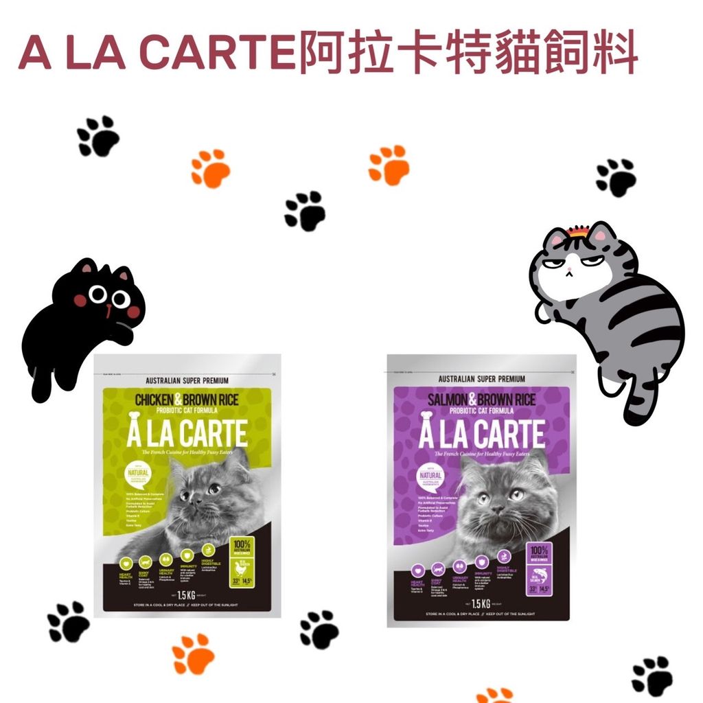 貓砂
