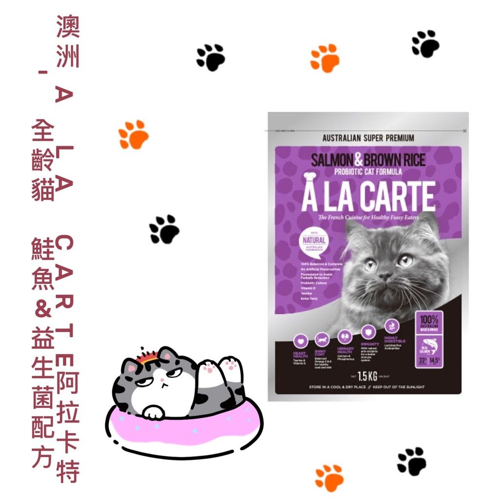 貓砂