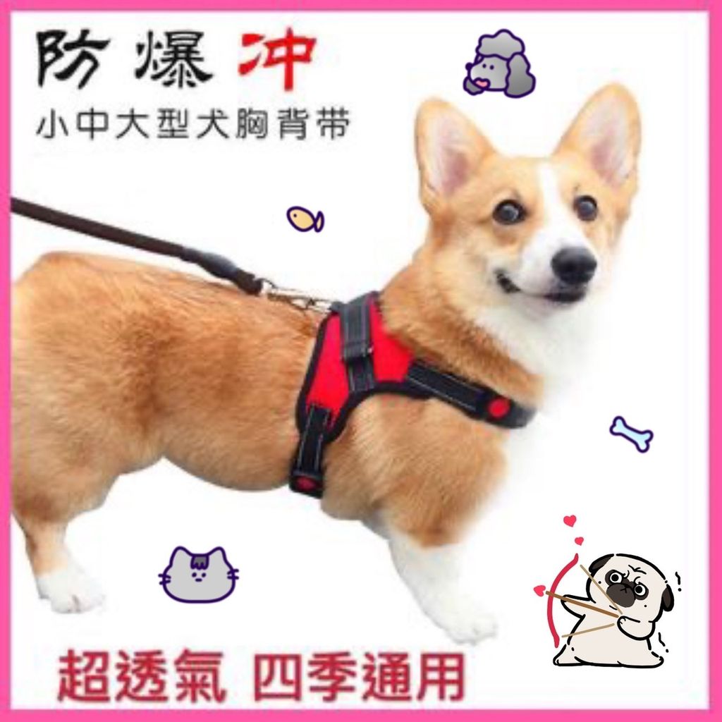 青蛙半罩涼蓆圓窩_ttWFzu0