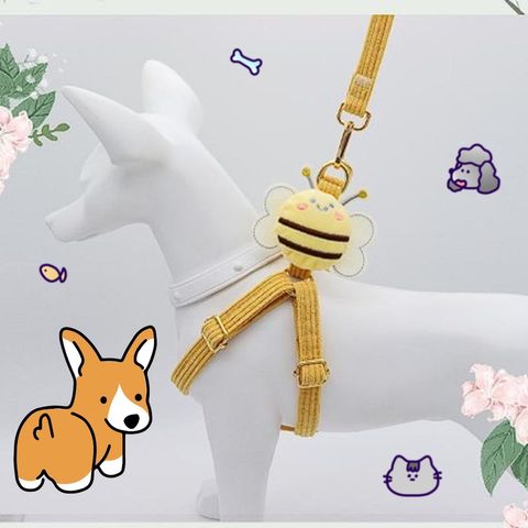 青蛙半罩涼蓆圓窩_ttWFzu0