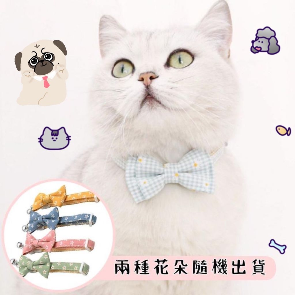 青蛙半罩涼蓆圓窩_ttWFzu0