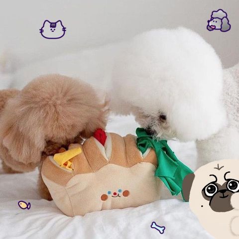 青蛙半罩涼蓆圓窩_ttWFzu0
