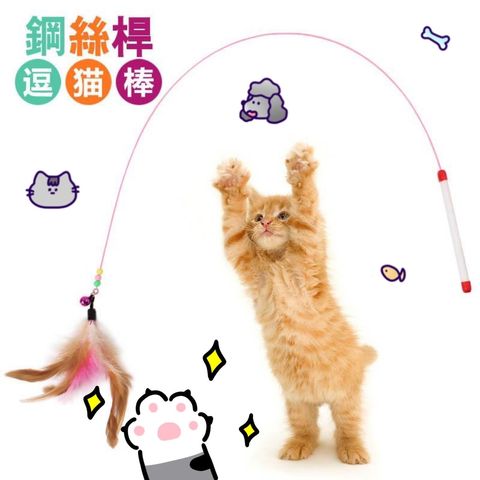 青蛙半罩涼蓆圓窩_ttWFzu0