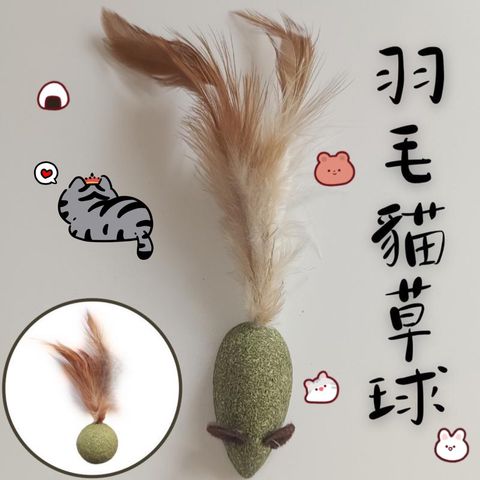 青蛙半罩涼蓆圓窩_ttWFzu0