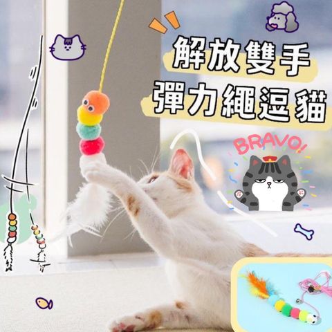 青蛙半罩涼蓆圓窩_ttWFzu0