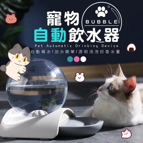 青蛙半罩涼蓆圓窩_ttWFzu0