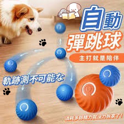 飼料