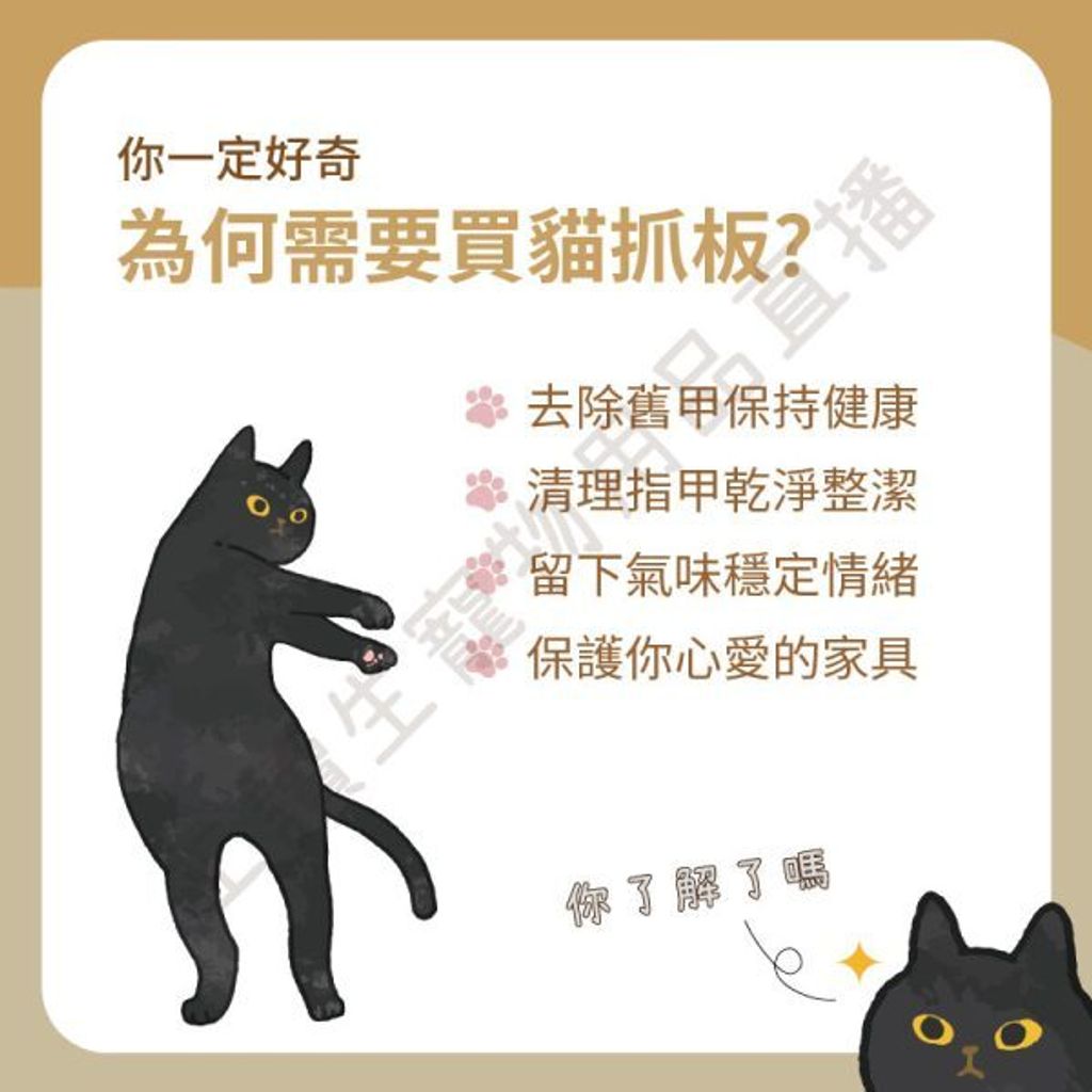 飼料