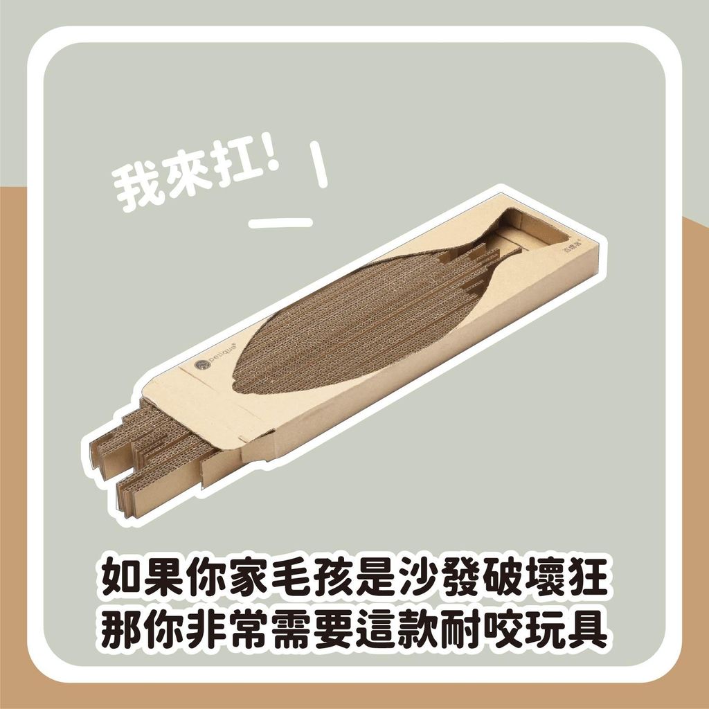 飼料