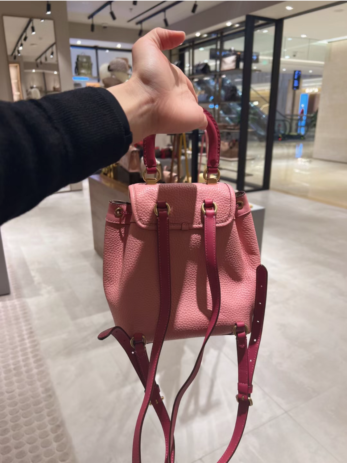 COACH Riya Backpack 23 – Vinee Bag