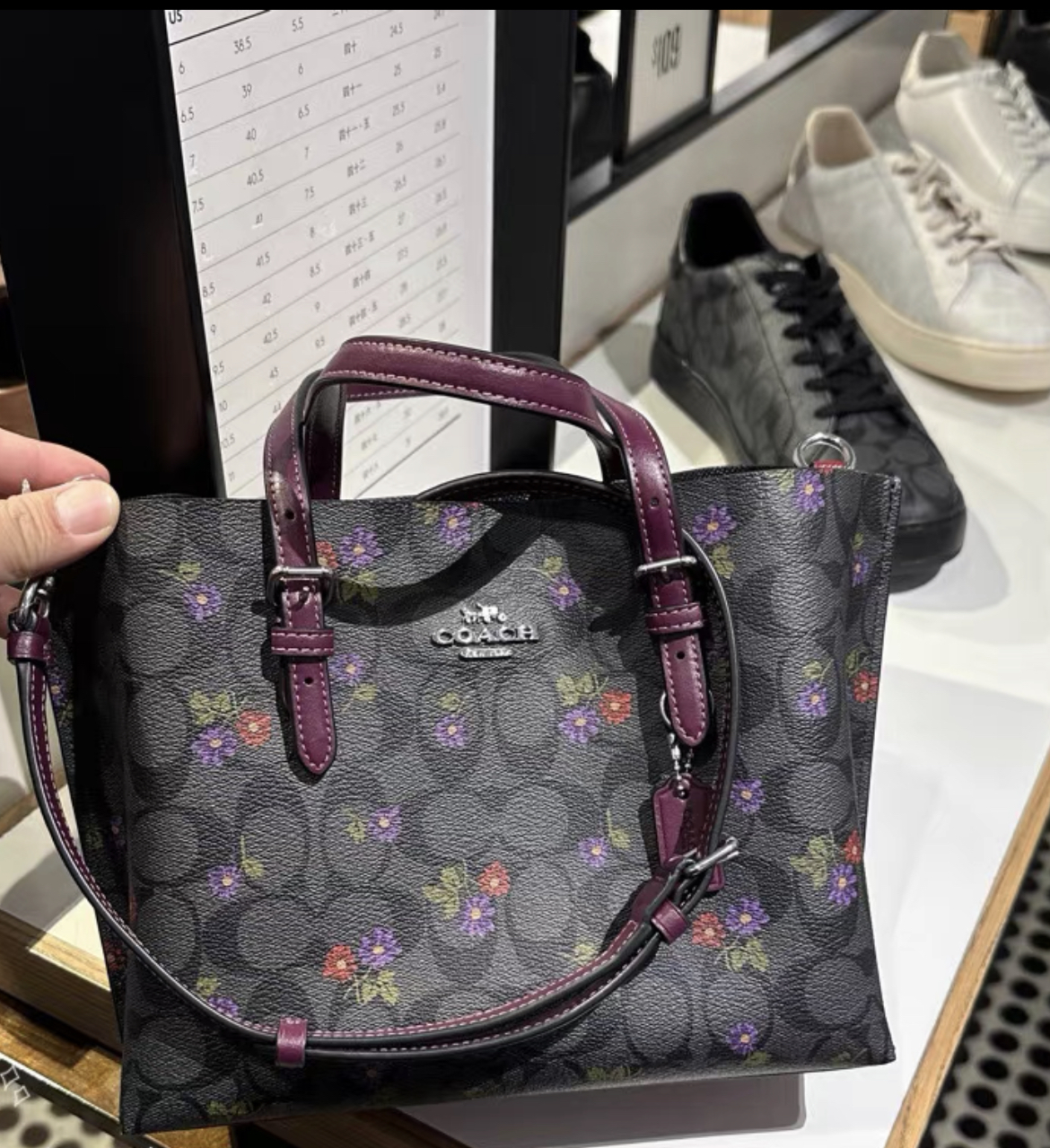 COACH Mollie Tote In Signature Canvas With Country Floral Print – Vinee Bag