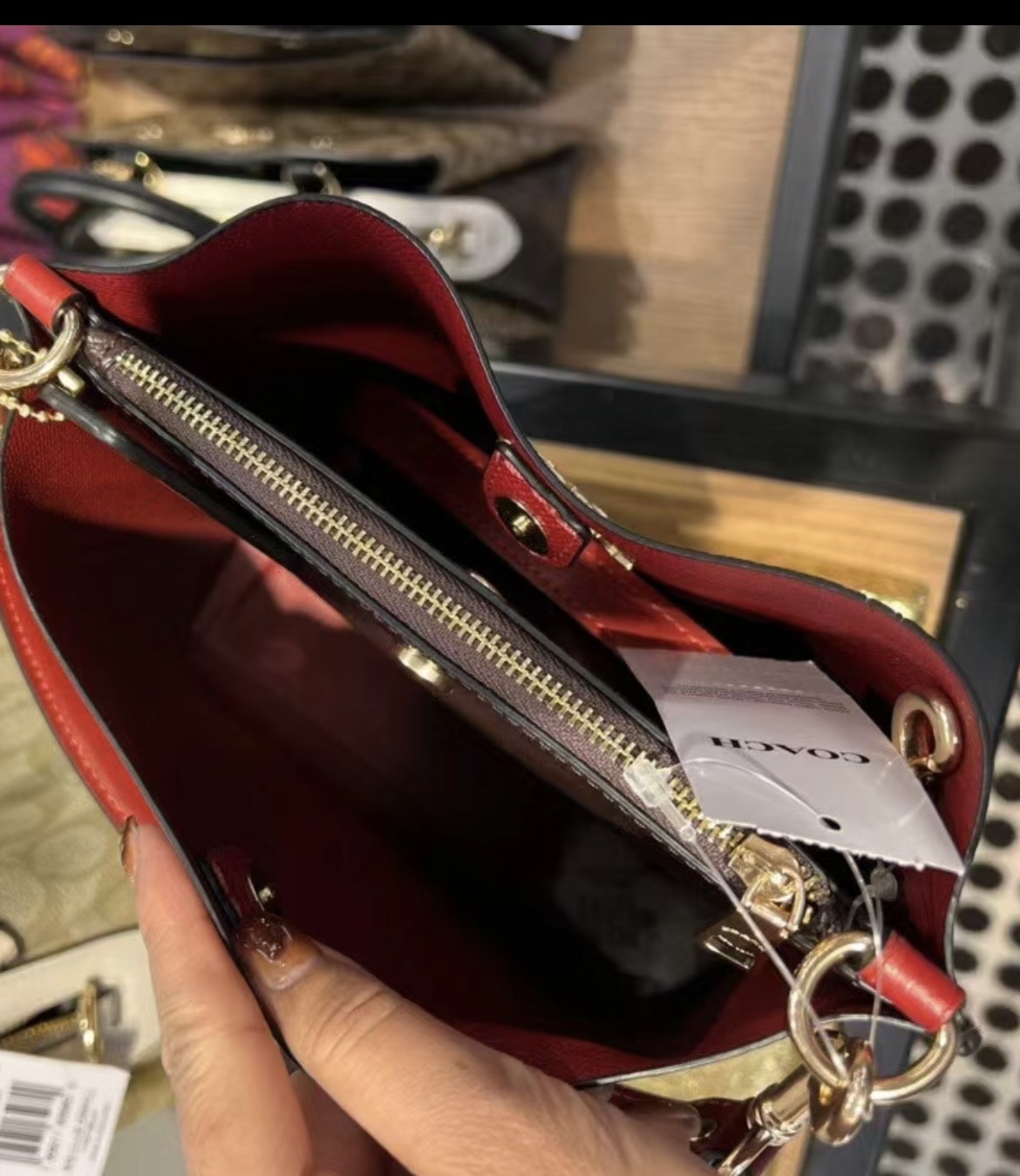 Coach Charlie Bucket Bag Review & Comparison to LV Neo Noe 