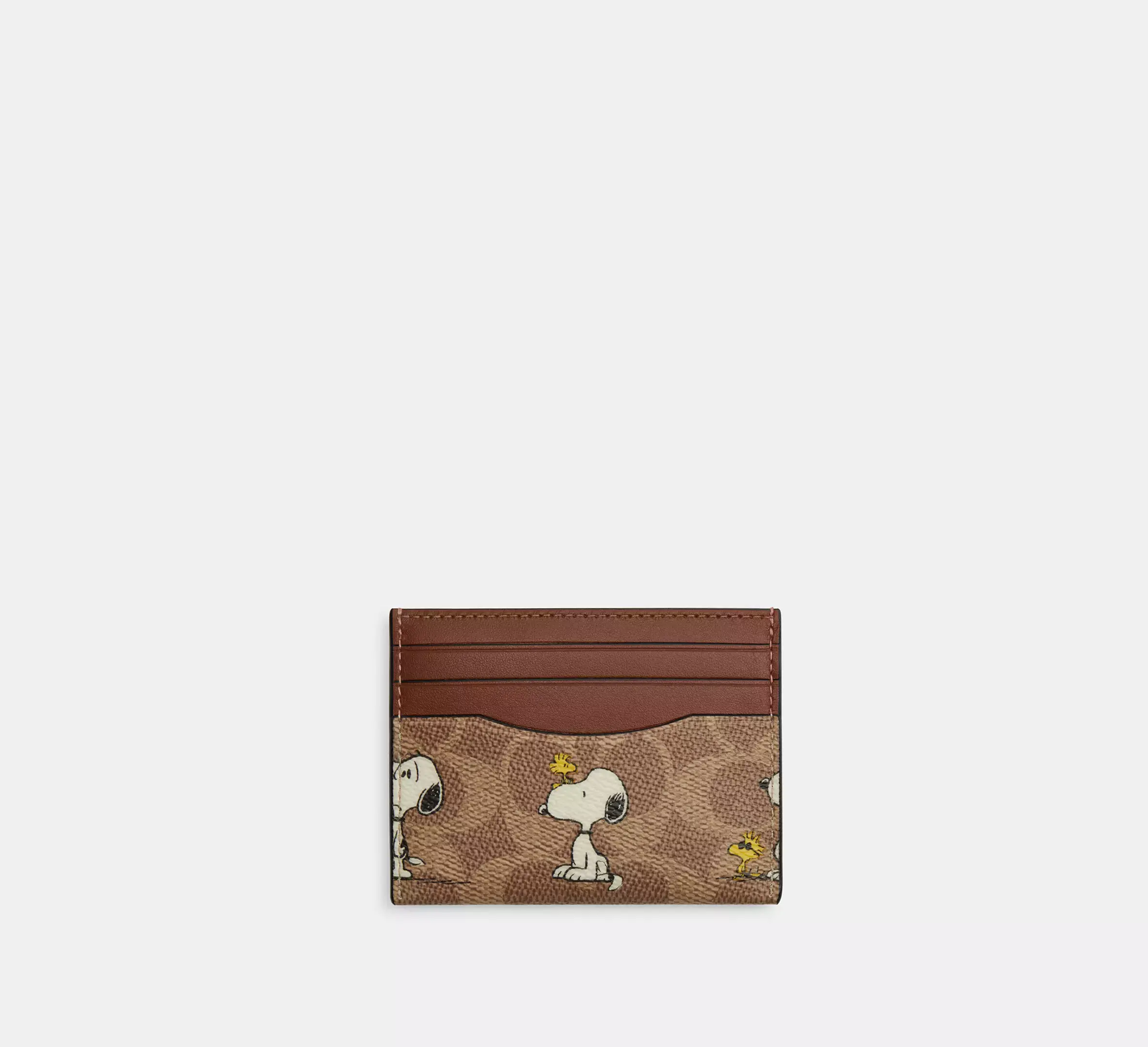 cbk55_tam_a0