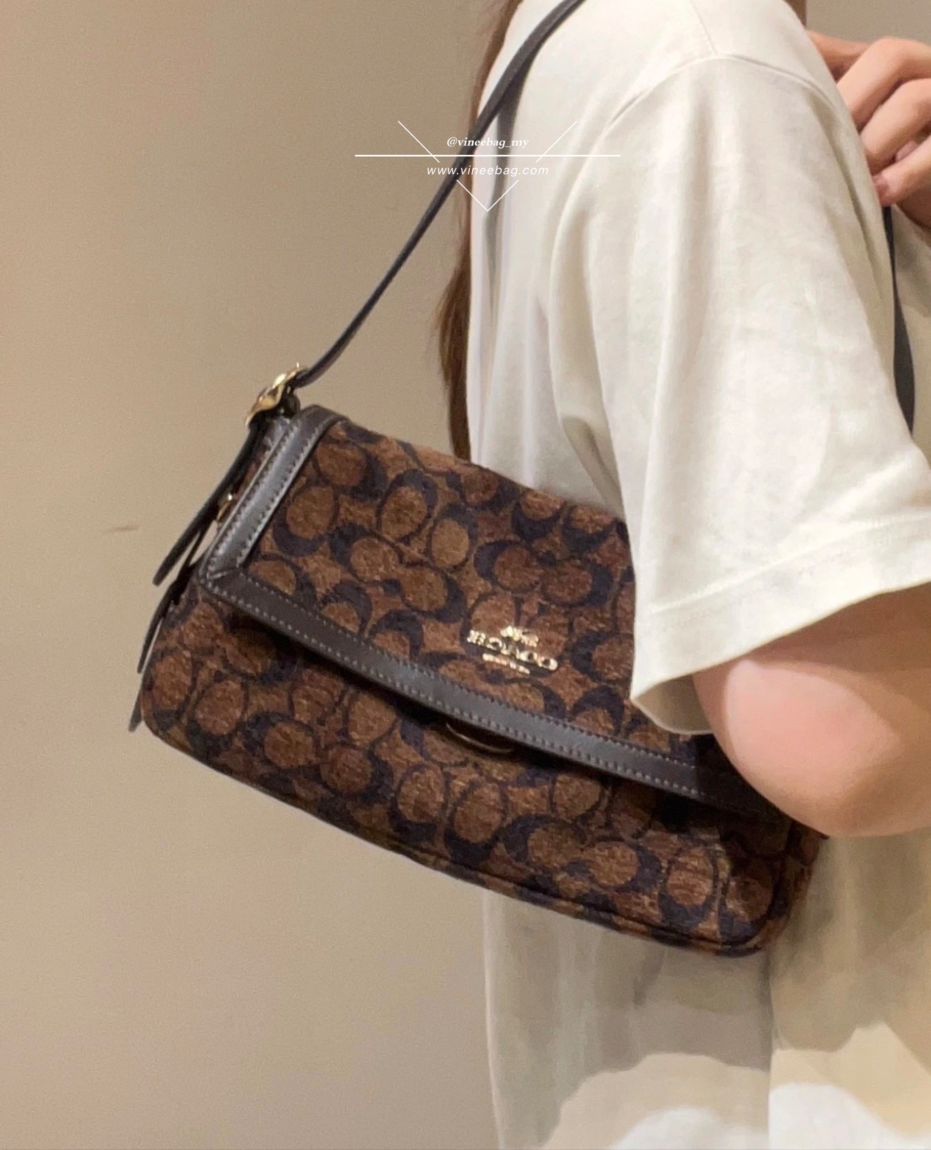 image_C6BD1BCE-ABAA-4FA7-BDB5-19505CCE2D63_1761891392