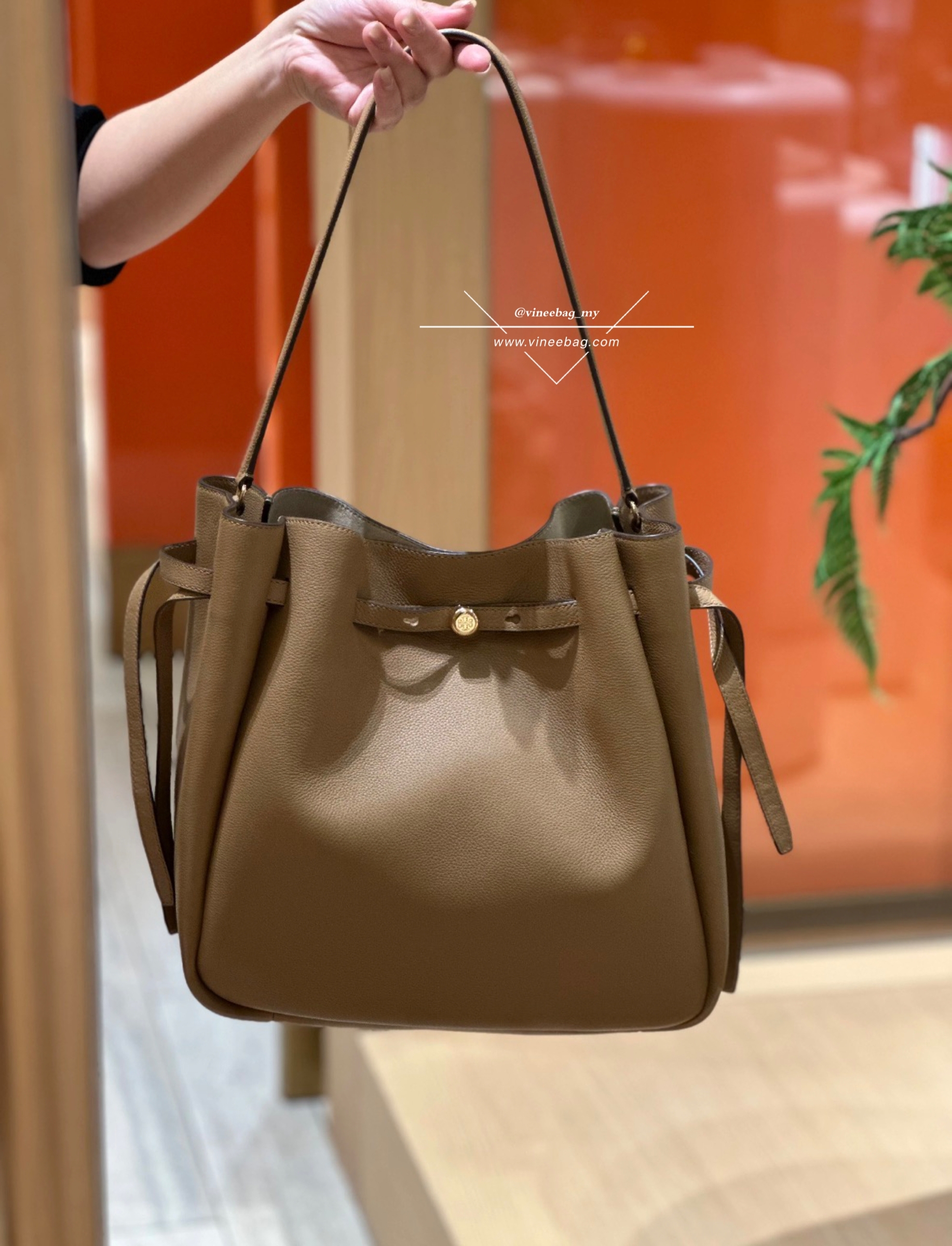 image_894F0C85-EE65-40ED-8779-68F4257B6301_1765983243