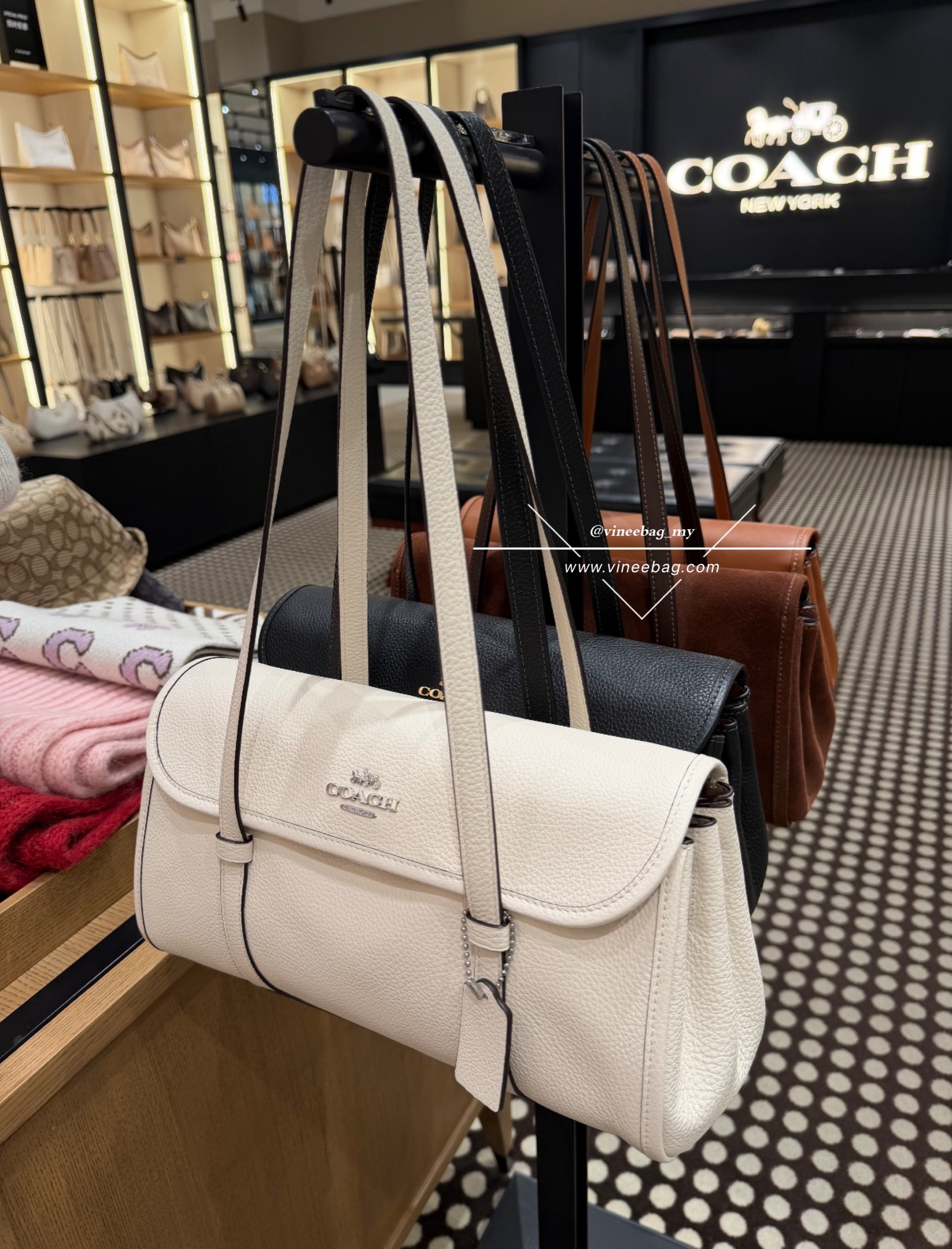 image_A493E90C-F0A3-4EBB-B9E1-D811537DFA5D_1768461865