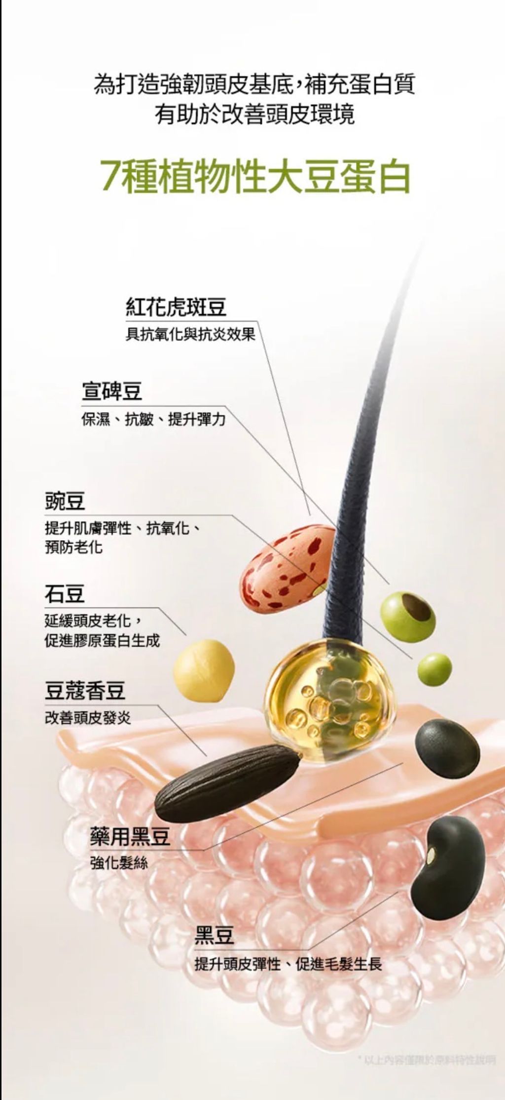 image_FC94798A-25AB-43ED-B1EE-B4CFD1AC3560_1782143896