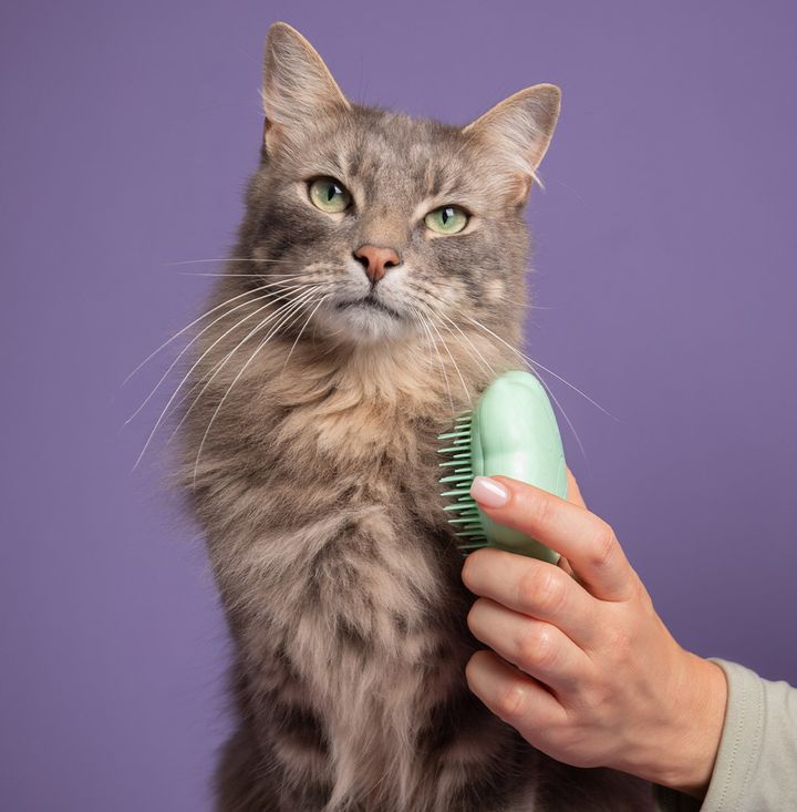 1138x1158-PDP-Page_0000_Cat-Brush-Green