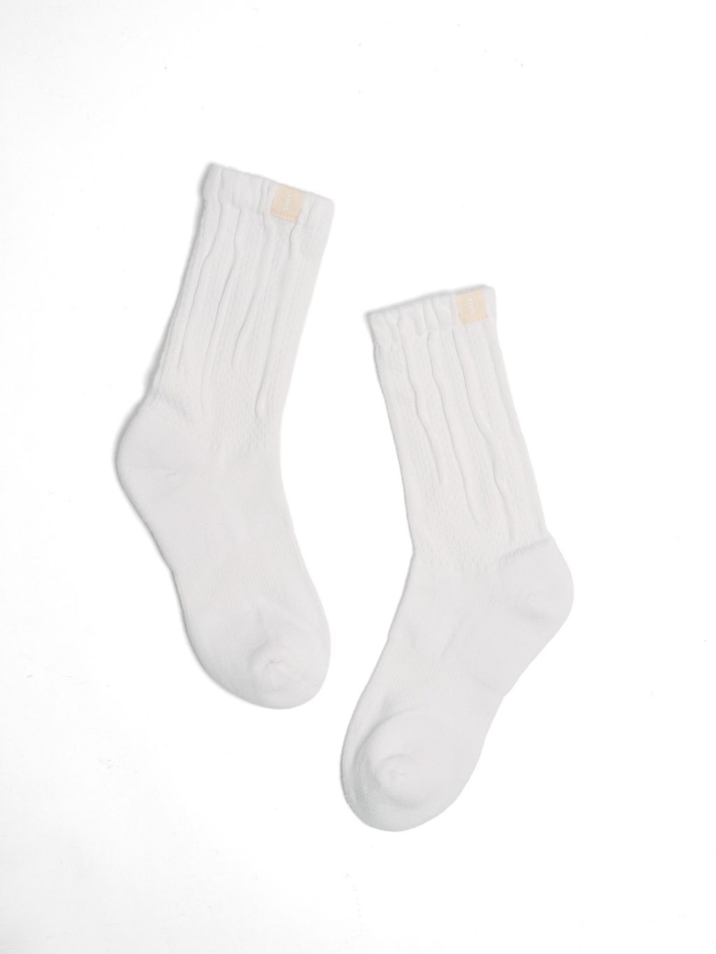 image_67B89776-43B6-4920-ABB1-FF8802C987F6_1766368350