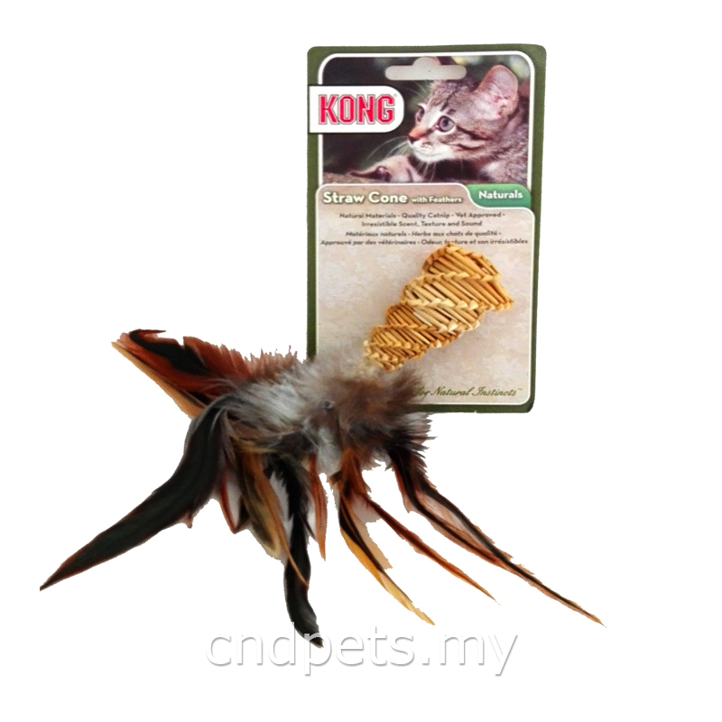 kong2.jpg