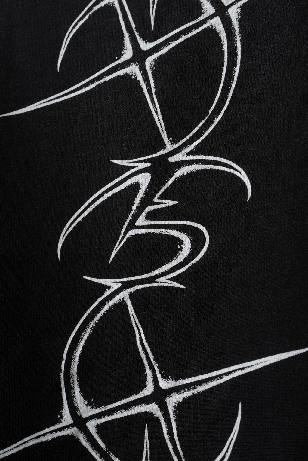 IMG_3007-1724041519085