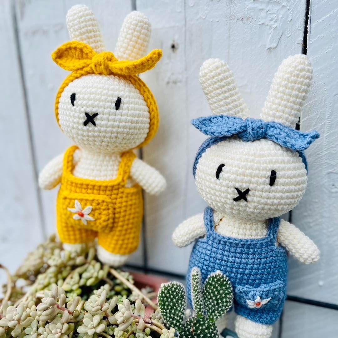 IMG_8269-1698500405038