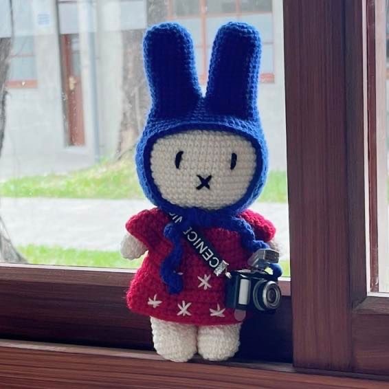 IMG_8268-1698501096407