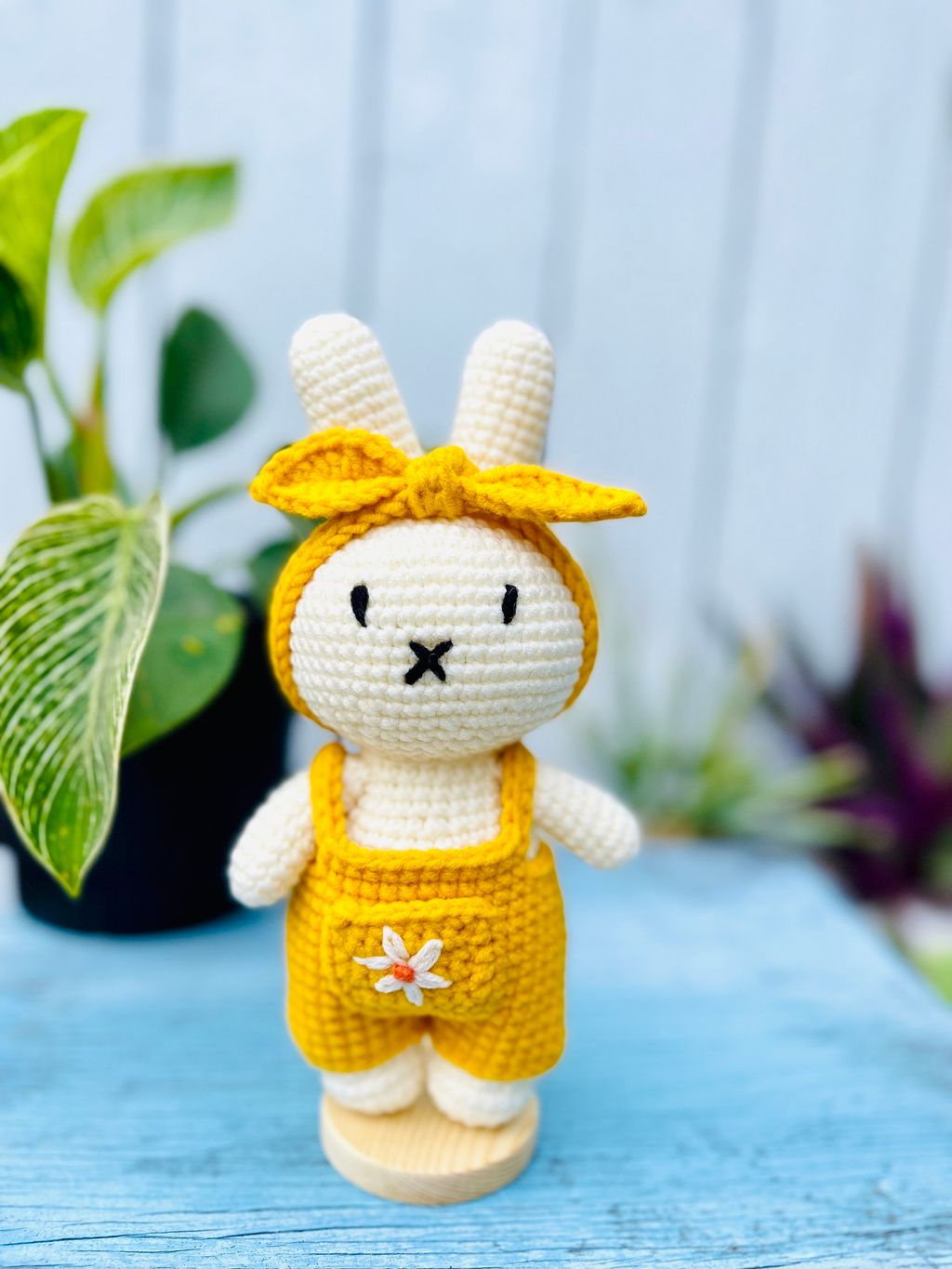 IMG_8063-1698501135264