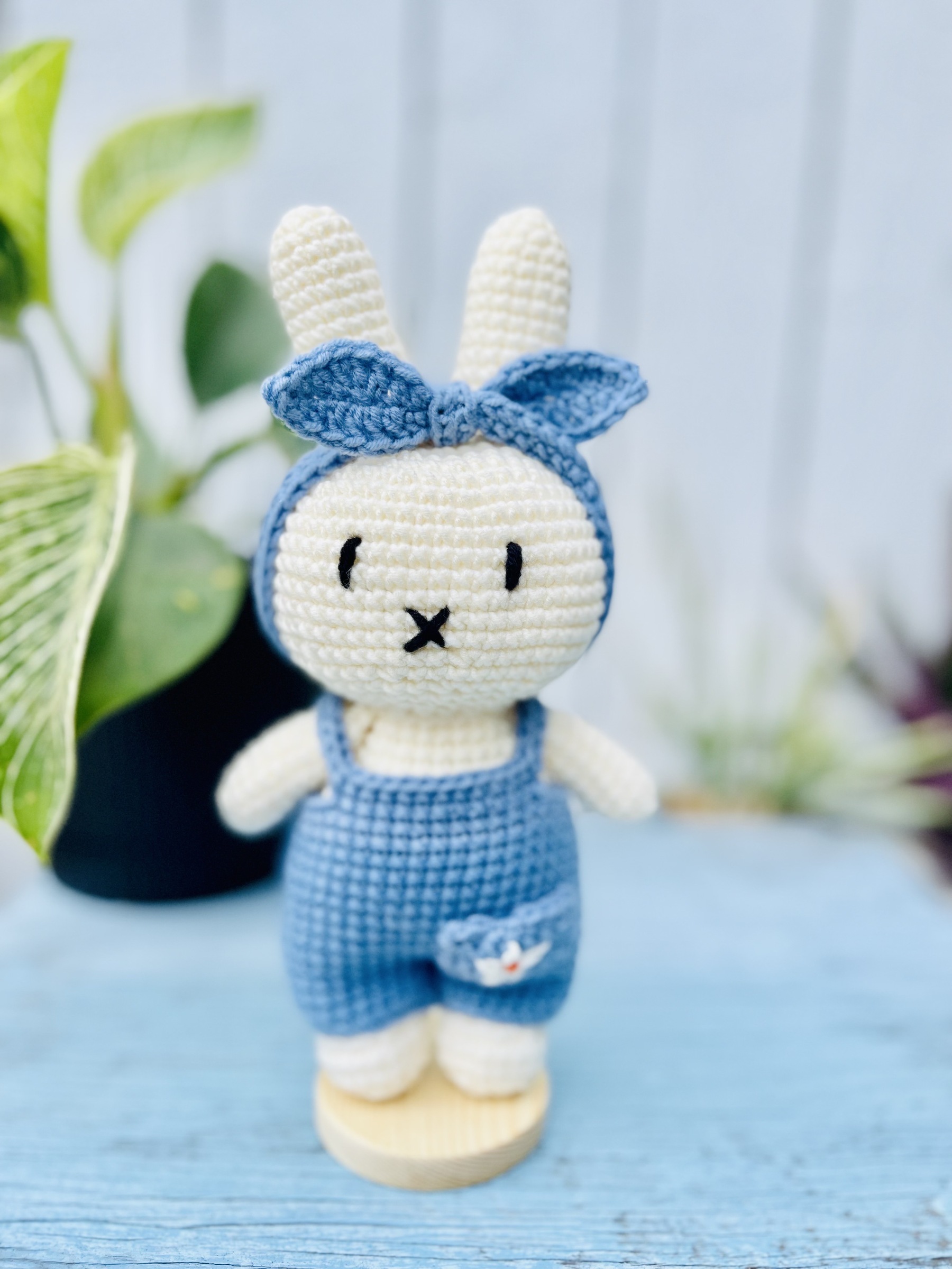 IMG_8064-1698501182829