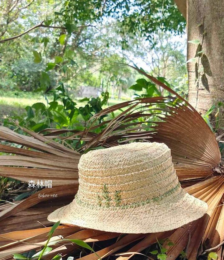 461837052_1295558288486081_8981816586300021337_n