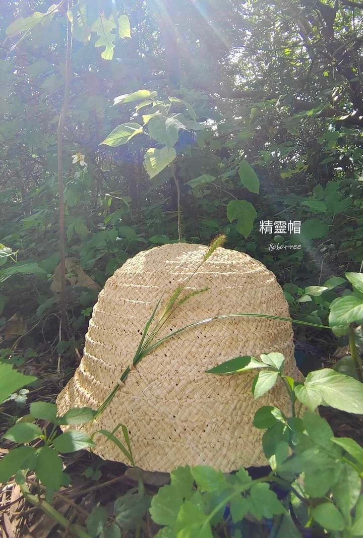 462563411_1239143940562384_241593954863849780_n