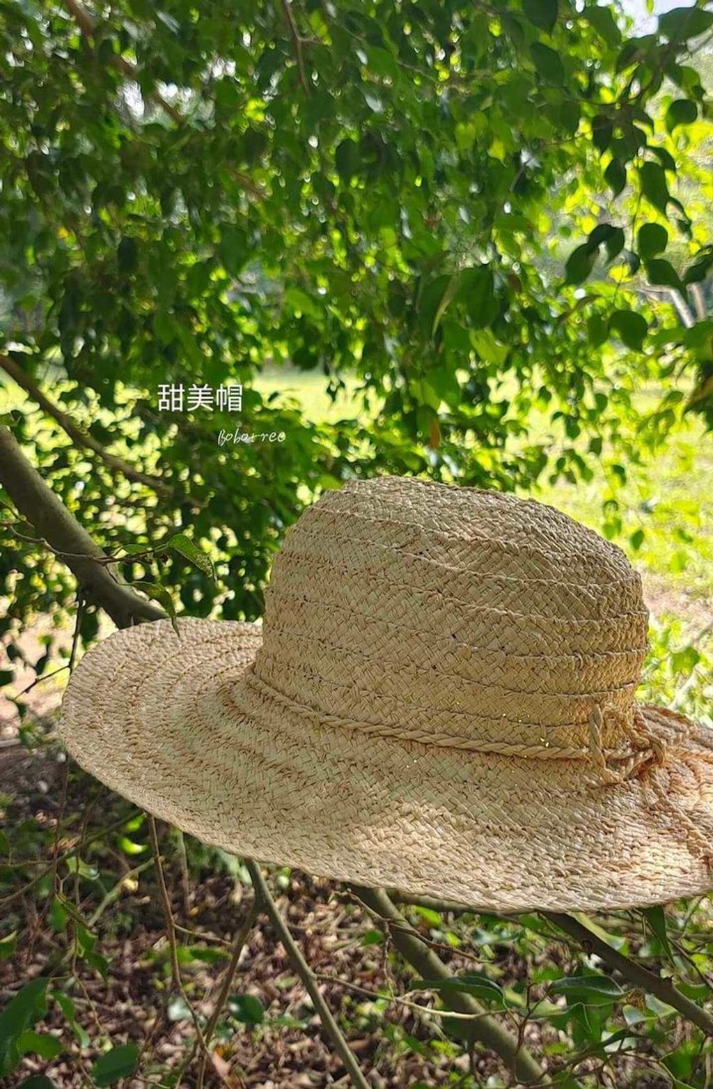 462549316_2031637660586675_4684630331982328534_n