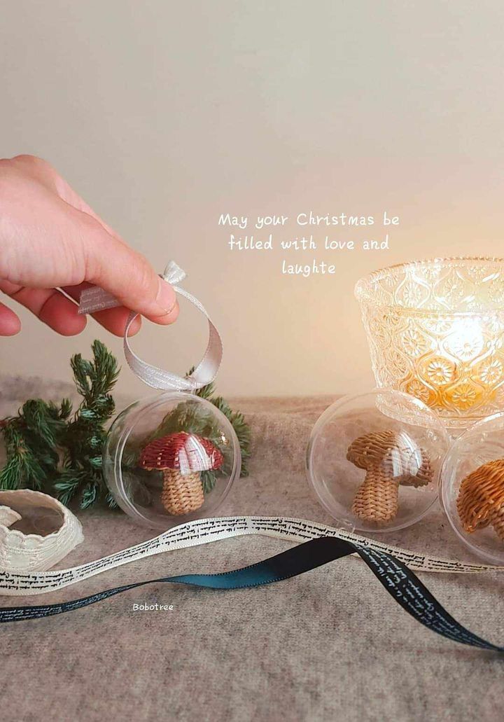 462577286_537145865894431_8944918058176459766_n