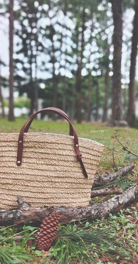 462543823_1095096382082532_1889205506982950241_n