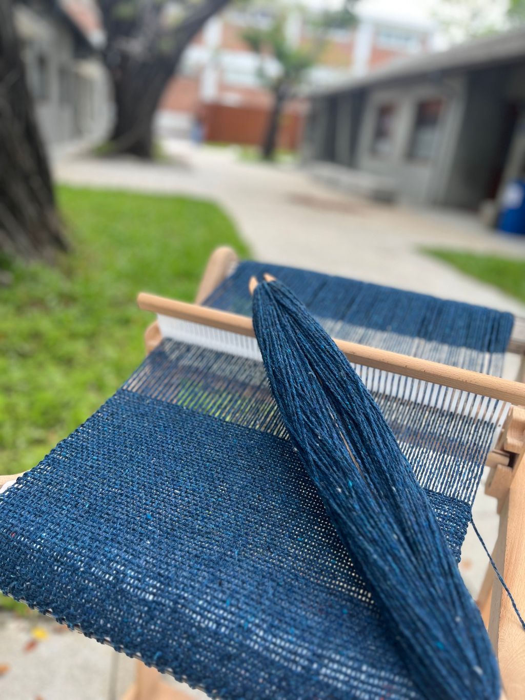 IMG_6926-1735395732264