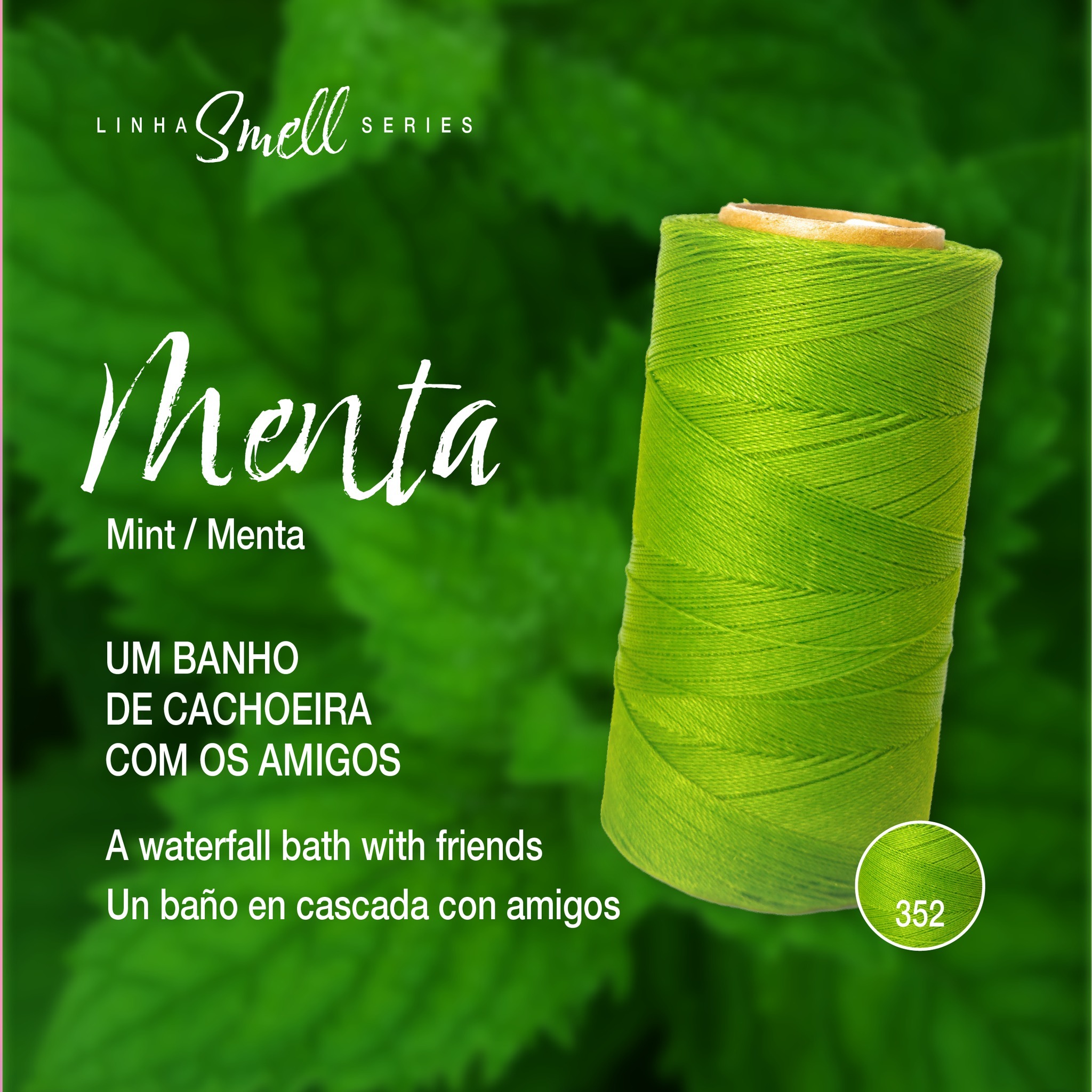 489555876_1280605357054245_7574906512709308989_n