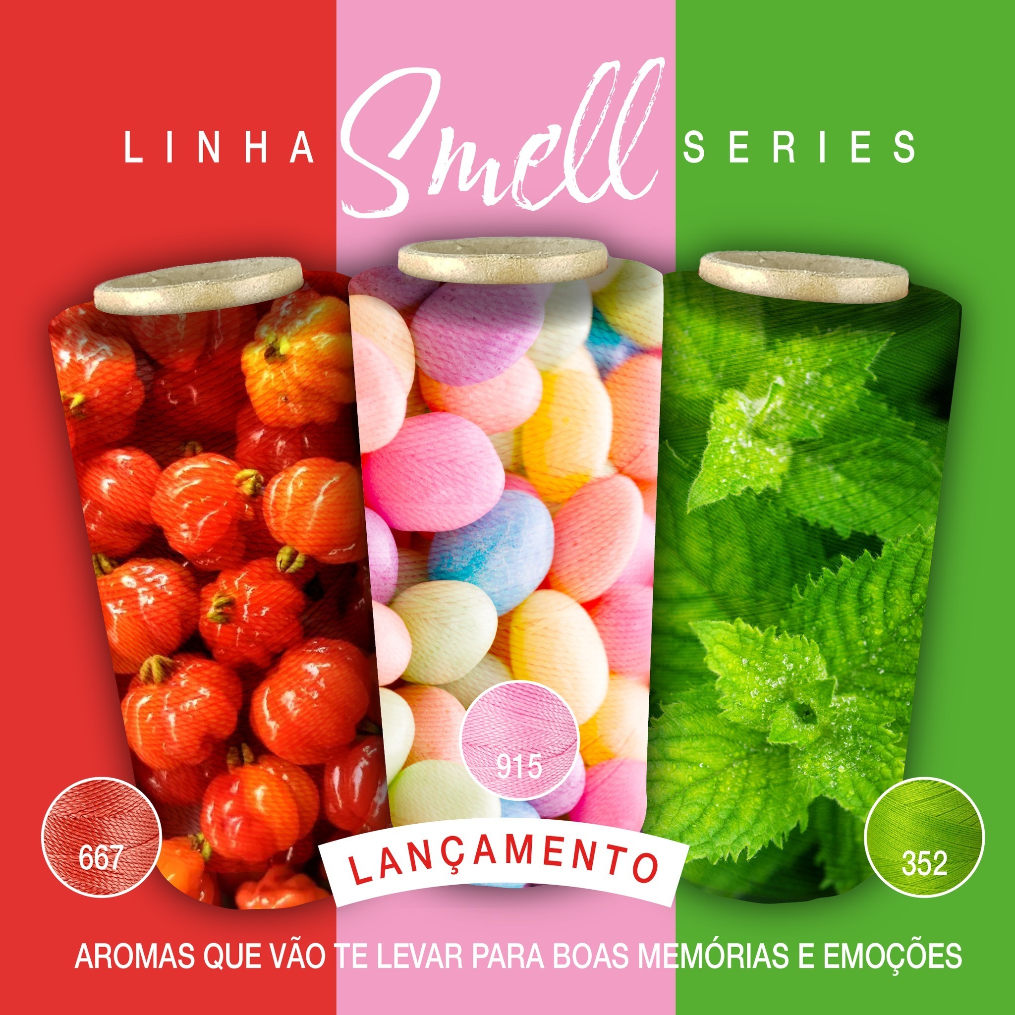 488981542_1278964460551668_1649368604150329617_n