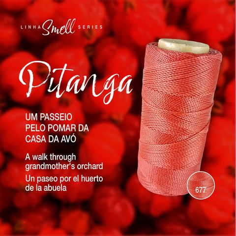 489729069_1280605250387589_5690000787619888759_n