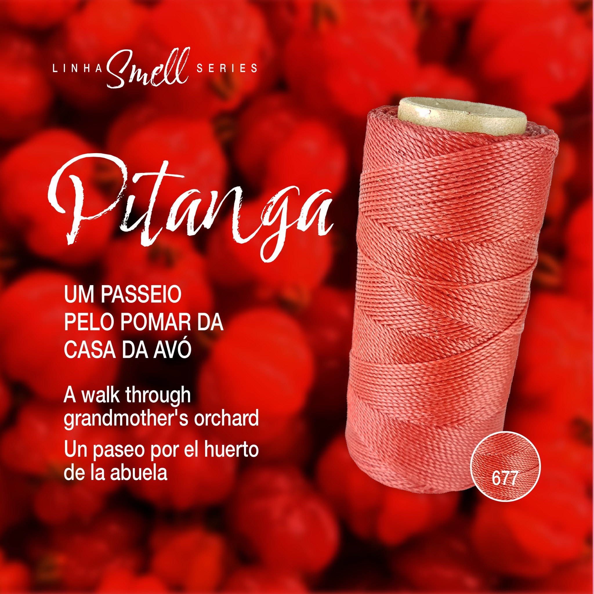 489729069_1280605250387589_5690000787619888759_n