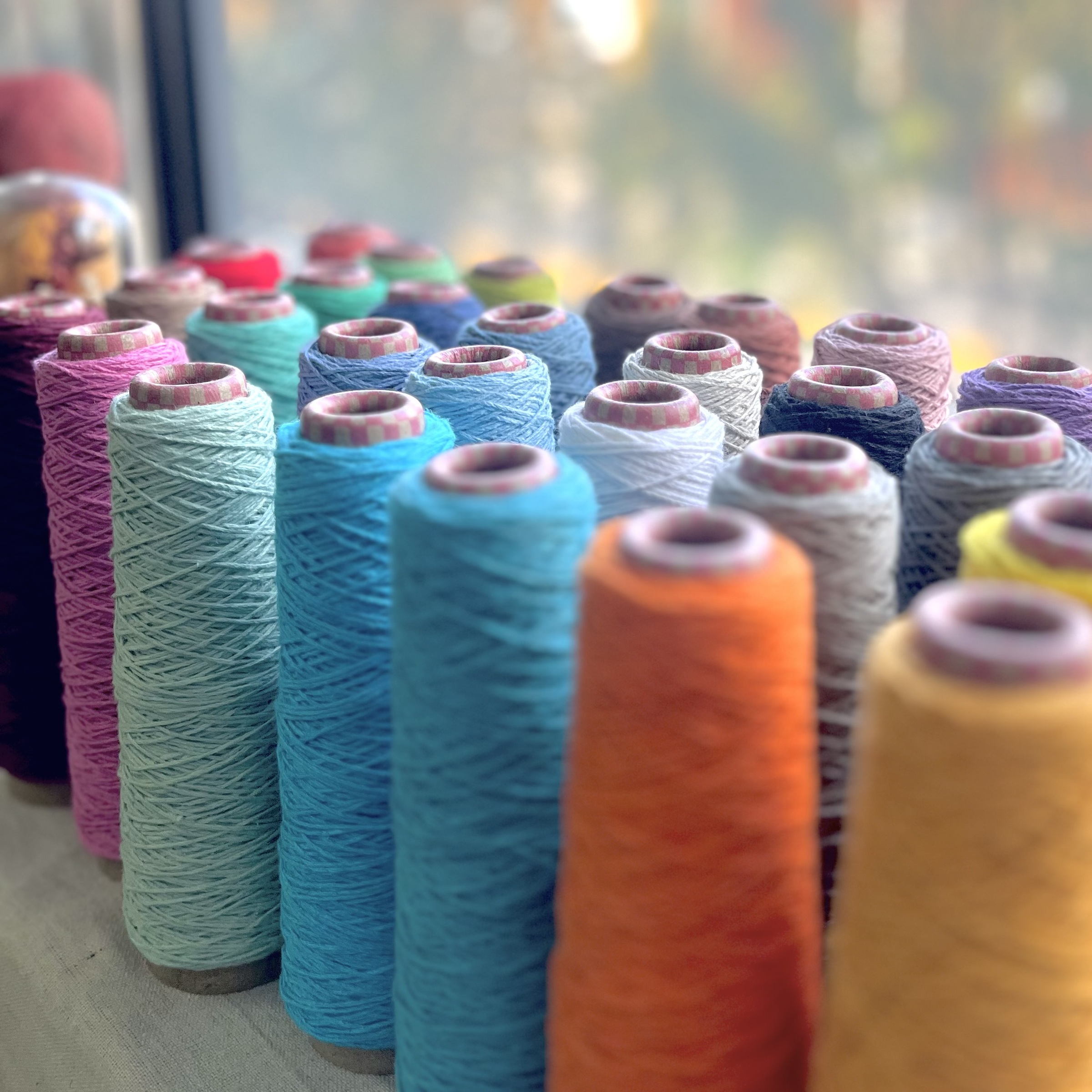 相片 2026-1-28 12 24 14