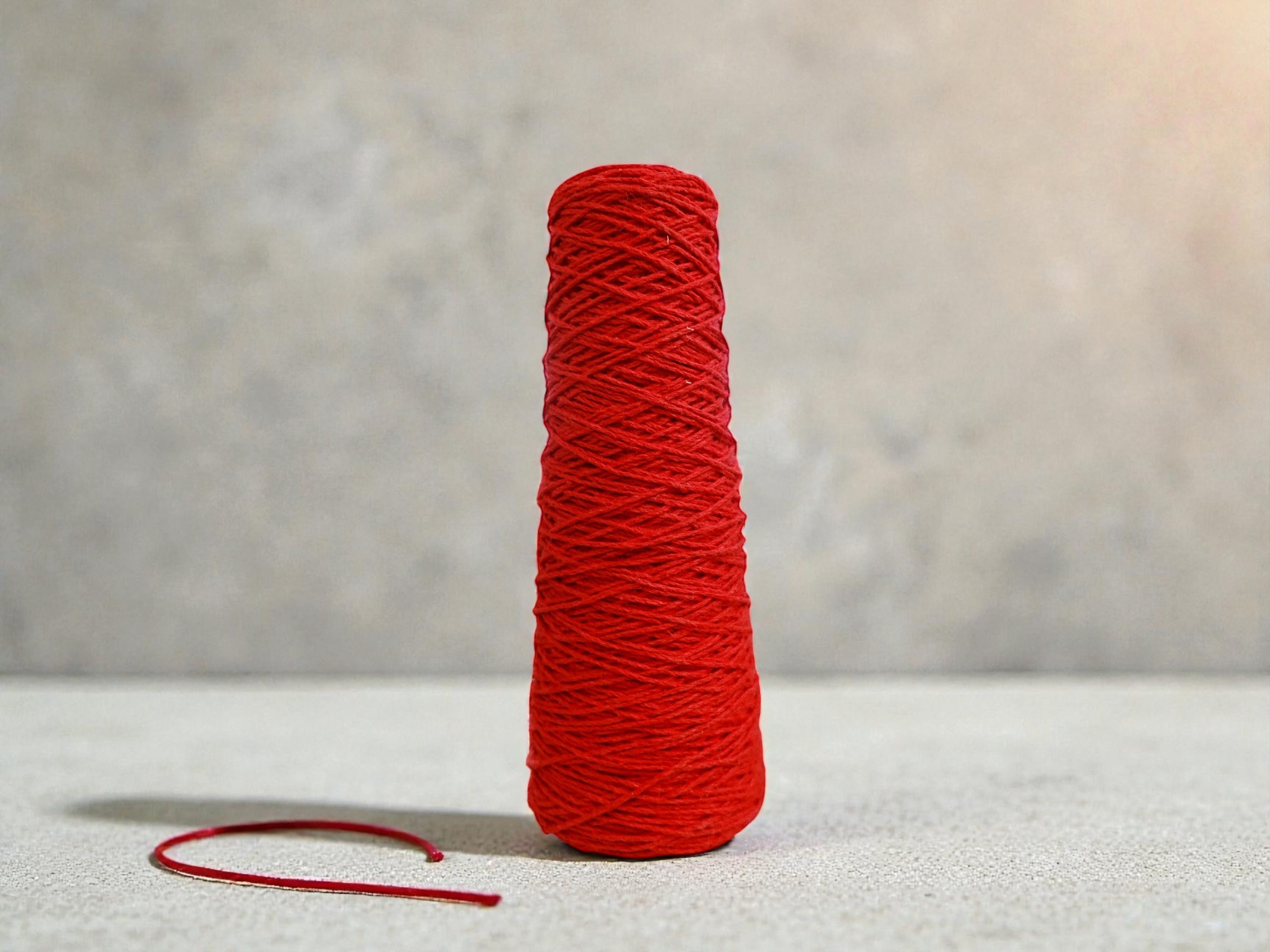 相片 2026-1-28 17 59 12 (12)