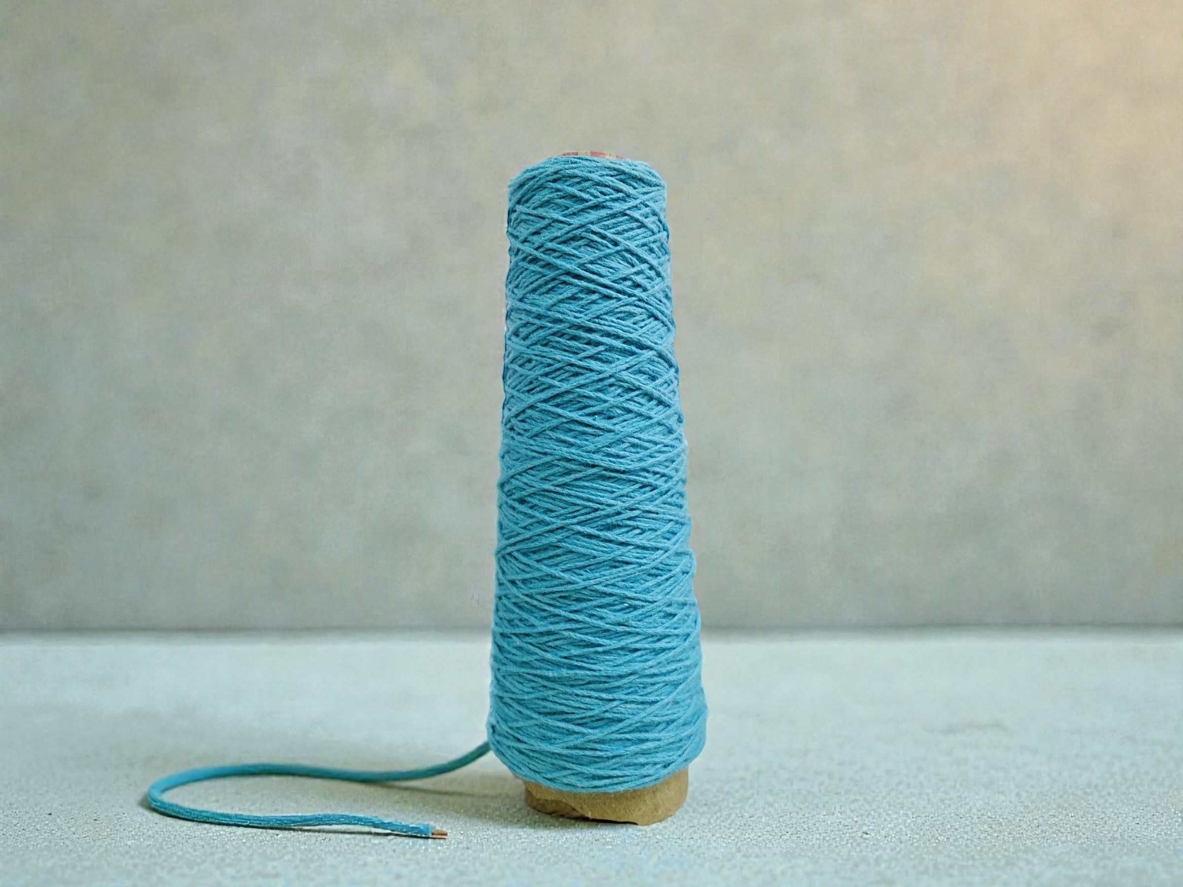 相片 2026-1-28 17 59 12 (3) (1)