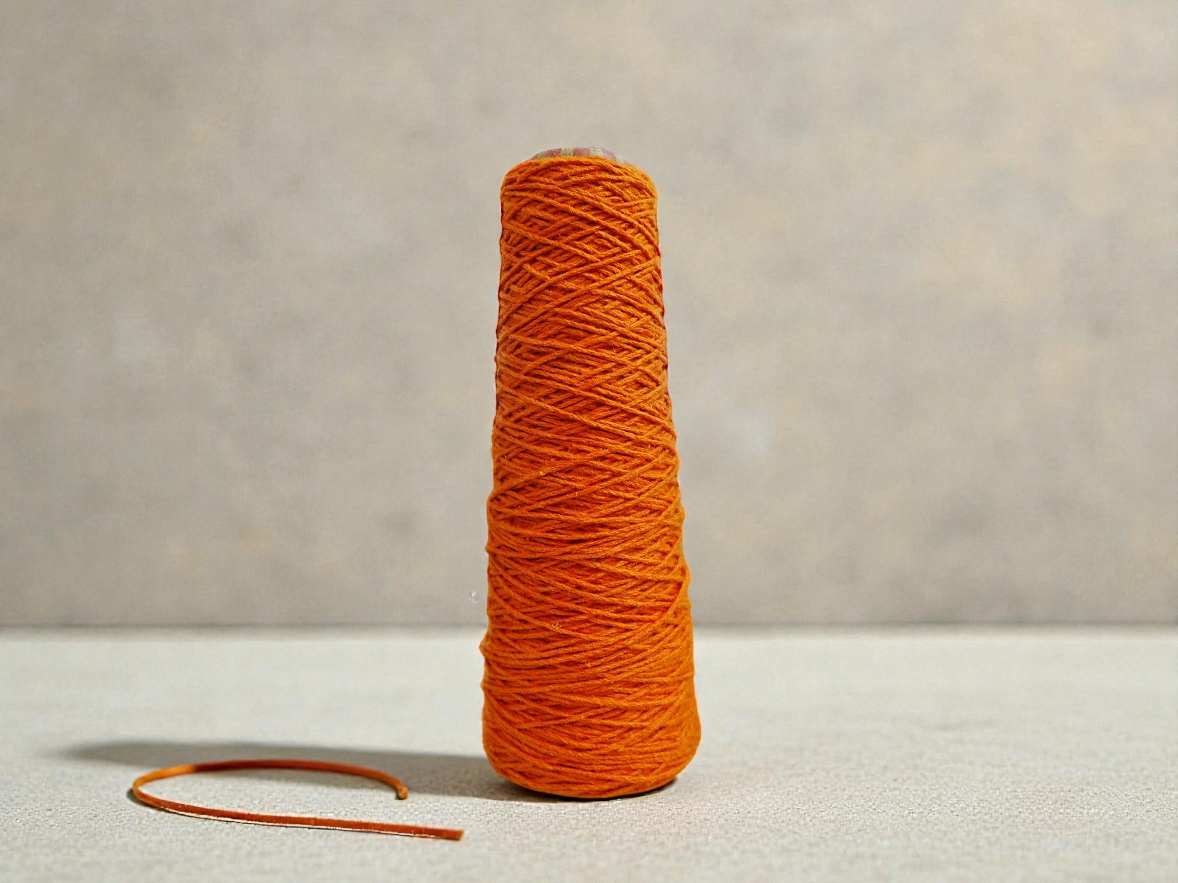 相片 2026-1-28 17 59 12 (8) (1)